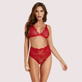 Stretch lace sexy bra set